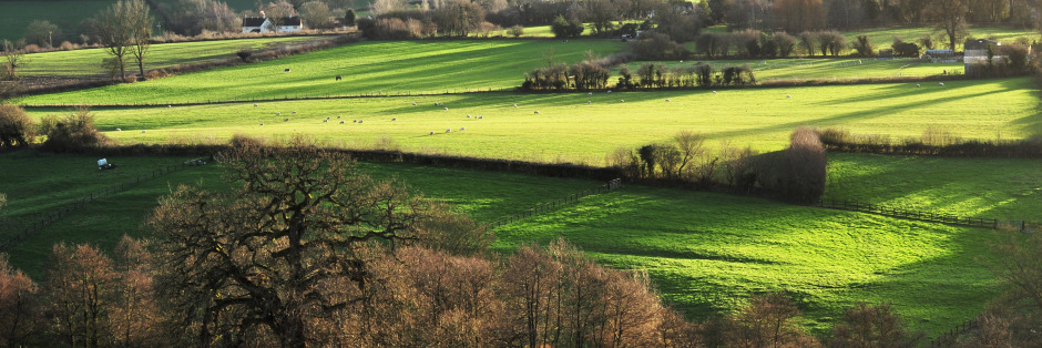 Route Image